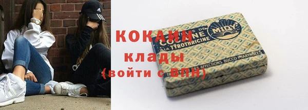 стаф Баксан
