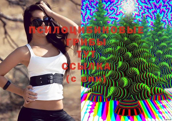 2c-b Балахна