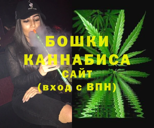 стаф Баксан