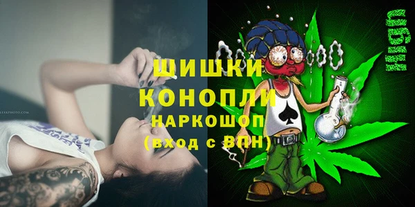 трава Белокуриха