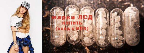 стаф Баксан