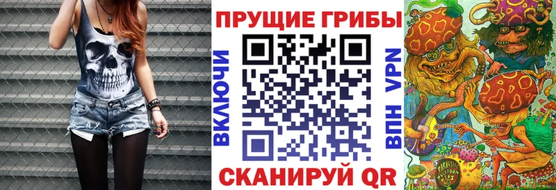 Галлюциногенные грибы Psilocybine cubensis  MEGA ONION  Усть-Илимск 